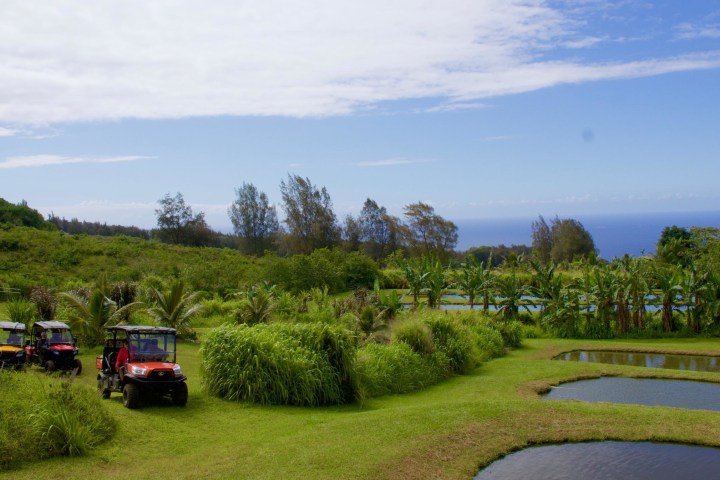 a car parked on the side of a lush green field