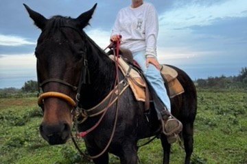 Person sitting on a horse in a field under a cloudy sky.