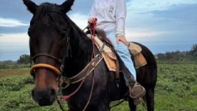 Person sitting on a horse in a field under a cloudy sky.