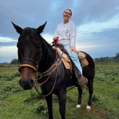 Person sitting on a horse in a field under a cloudy sky.
