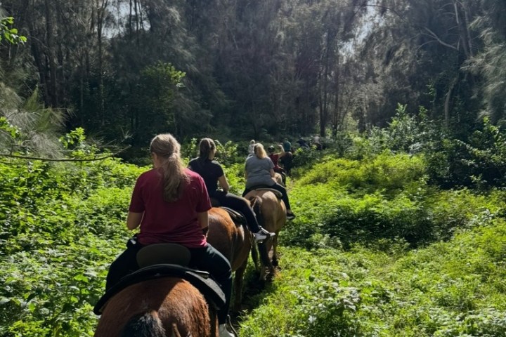 People horseback riding through a lush forest trail under cloudy skies.