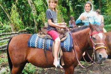 Child and adult on a horse in a forest setting.