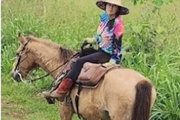 Person in a hat on a horse in a grassy field.