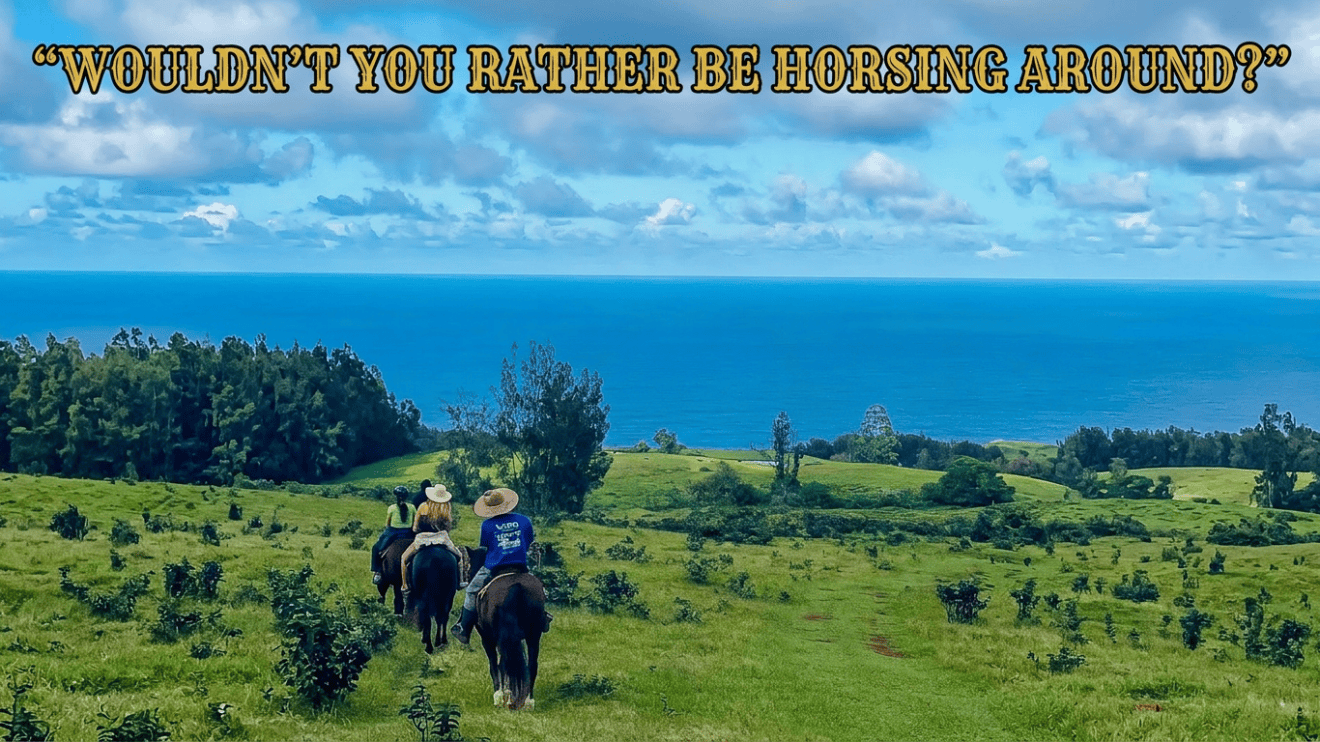 Three people riding horses on a green landscape overlooking the ocean.