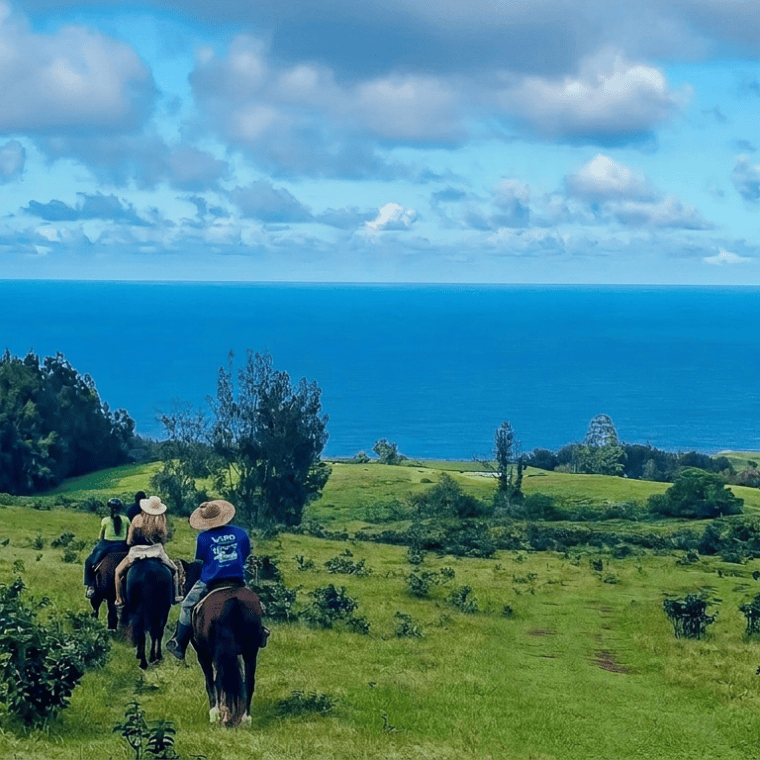 Three people horseback riding on a green hill overlooking the ocean.
