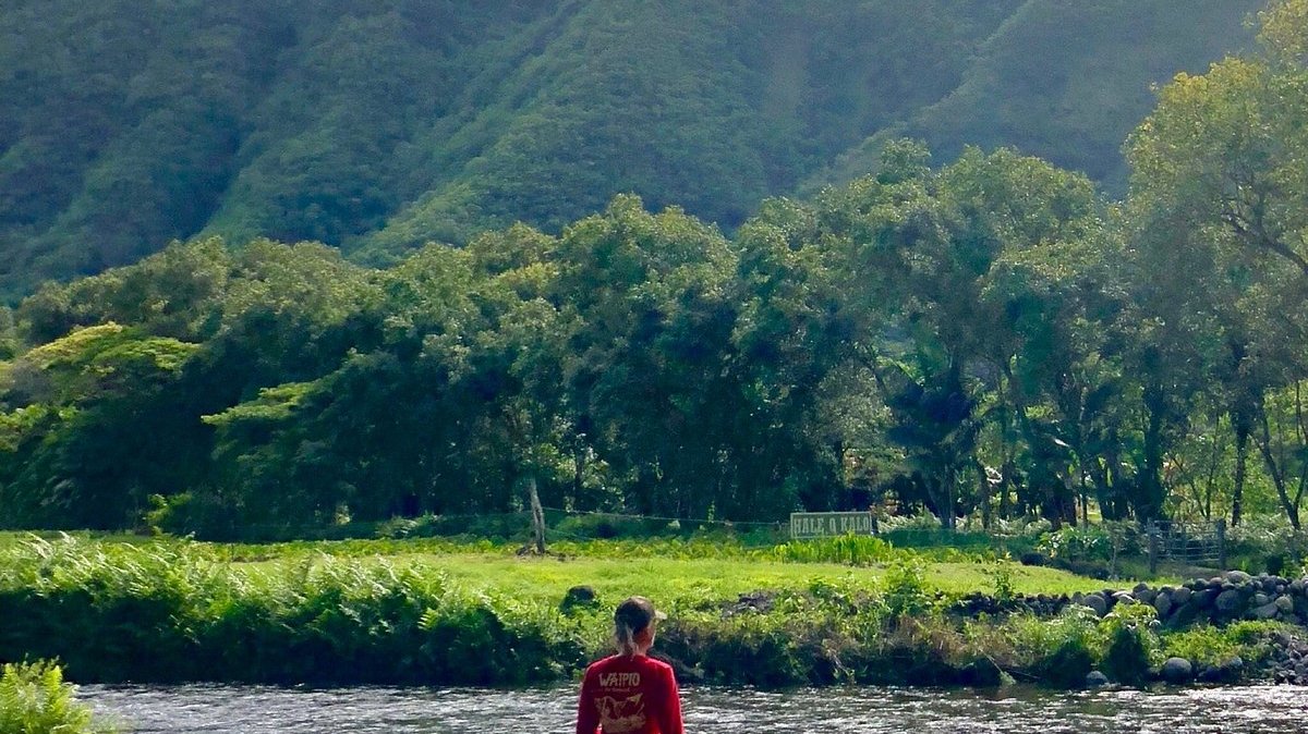 Person riding a horse across a shallow river with forested mountains in the background.