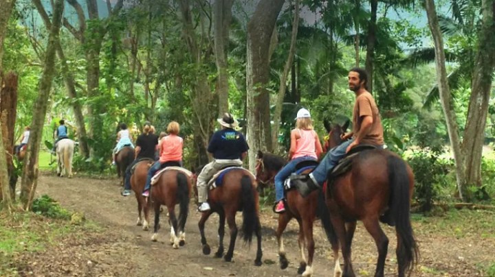 Group of people horseback riding on a forest trail.