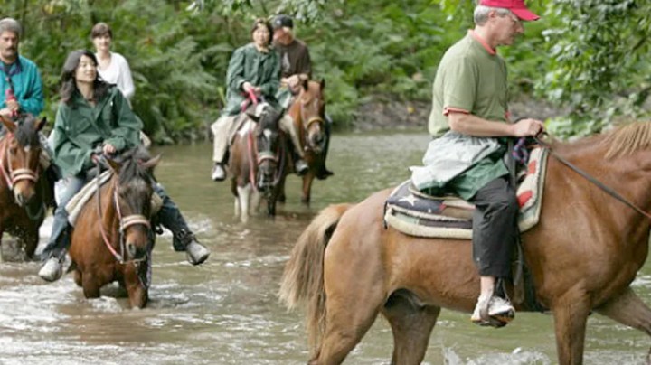 Group of people horseback riding through a shallow river in a forested area.