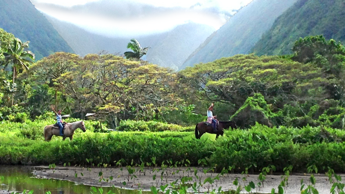 Two people horseback riding through lush green valley with mountains.